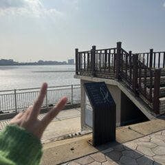 강남 초보운전 강남운전연수 후기입니다