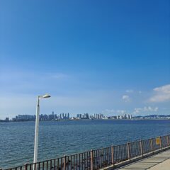 강남대로 운전이 정말 무서워