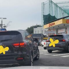 강남운전연수 비용 아깝지 않았어요