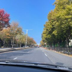 강남운전연수 가격 대비 만족도 최고예요