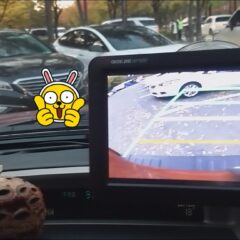 강남운전연수 왕초보도 가능해요