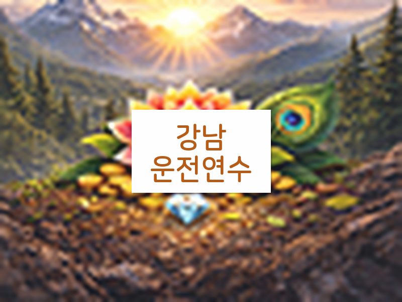 강남운전연수 후기