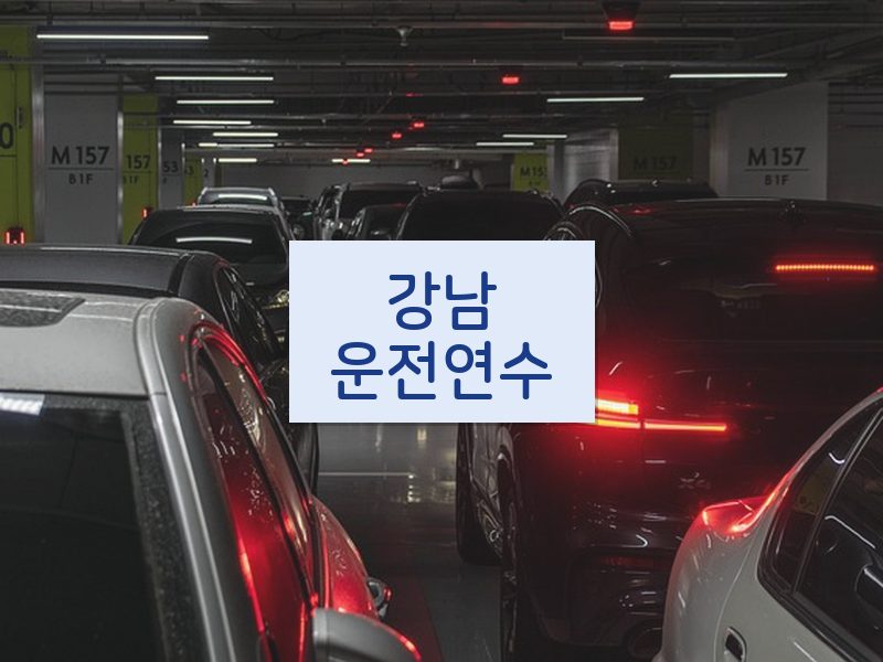 강남운전연수 후기