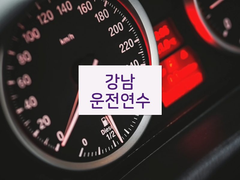 강남운전연수 후기