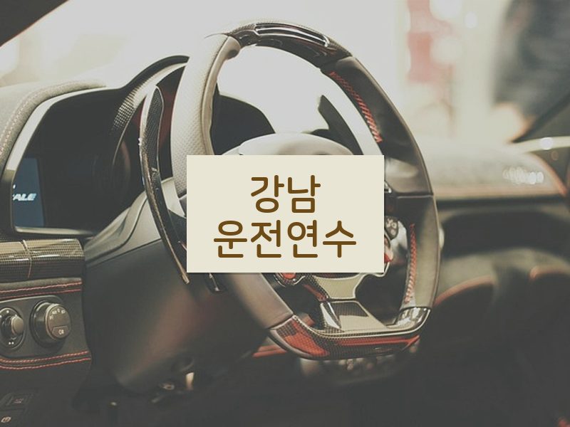 강남운전연수 후기