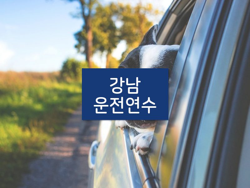 강남운전연수 후기