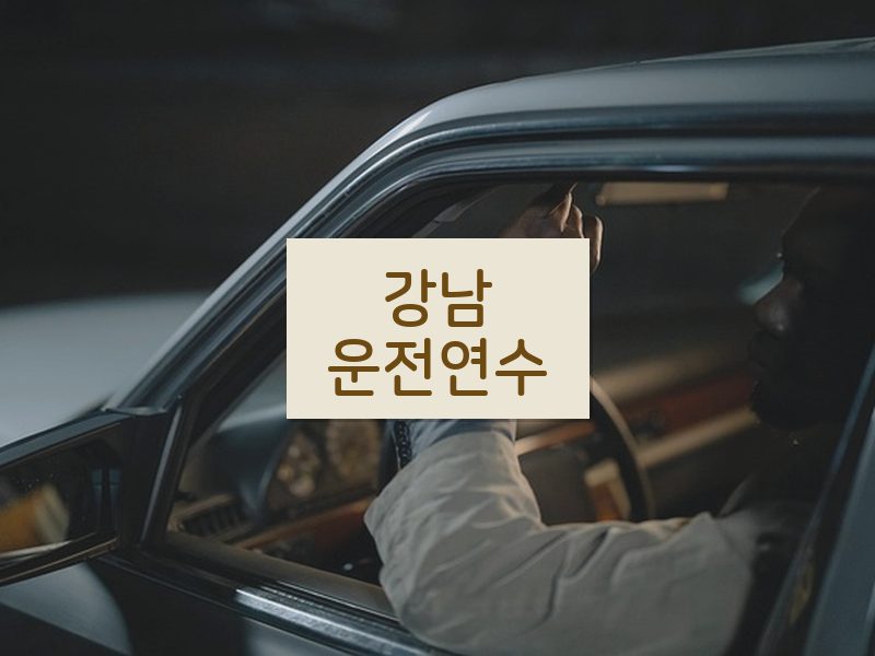 강남운전연수 후기
