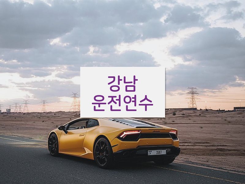 강남운전연수 후기