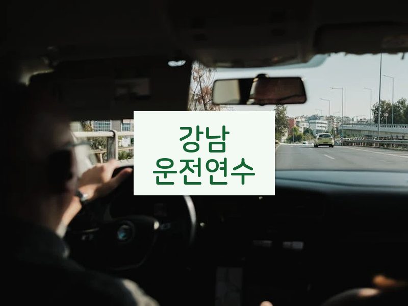 강남운전연수 후기