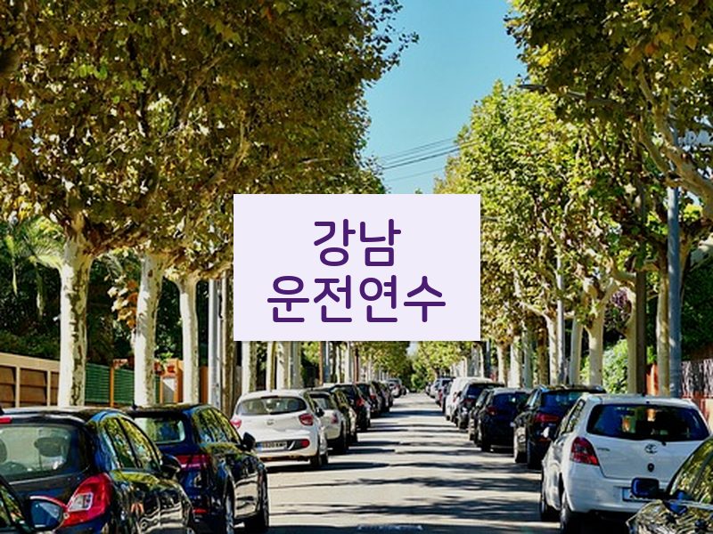 강남운전연수 후기